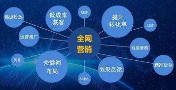 墨小二多維護眼中心的成功訣竅 一品億賺揭秘網絡技術支持之道